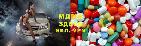 сатива Беломорск