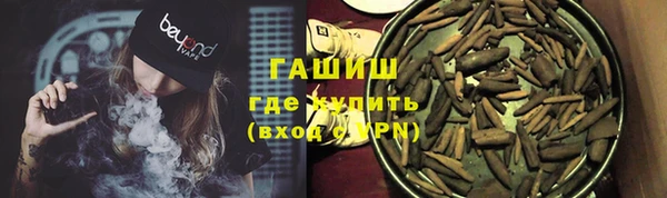 сатива Беломорск