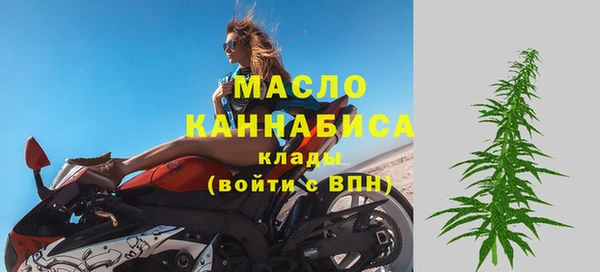 сатива Беломорск