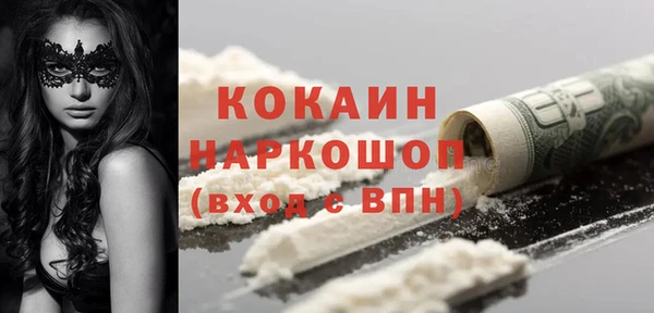 сатива Беломорск