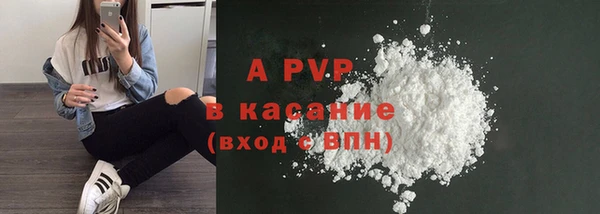 ПСИЛОЦИБИНОВЫЕ ГРИБЫ Няндома