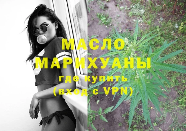 сатива Беломорск