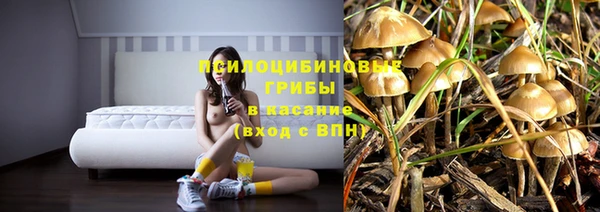 мяу мяу мука Белоозёрский
