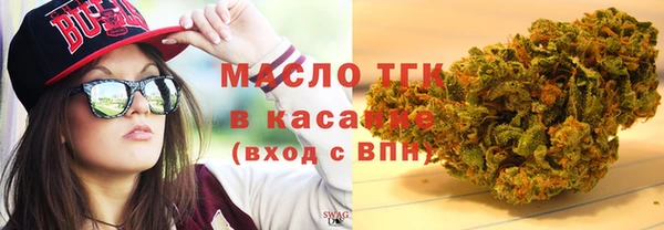 сатива Беломорск