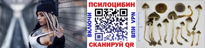 Галлюциногенные грибы Magic Shrooms Кумертау